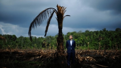 Descarbonización del transporte en España genera debate por el uso de biocombustibles