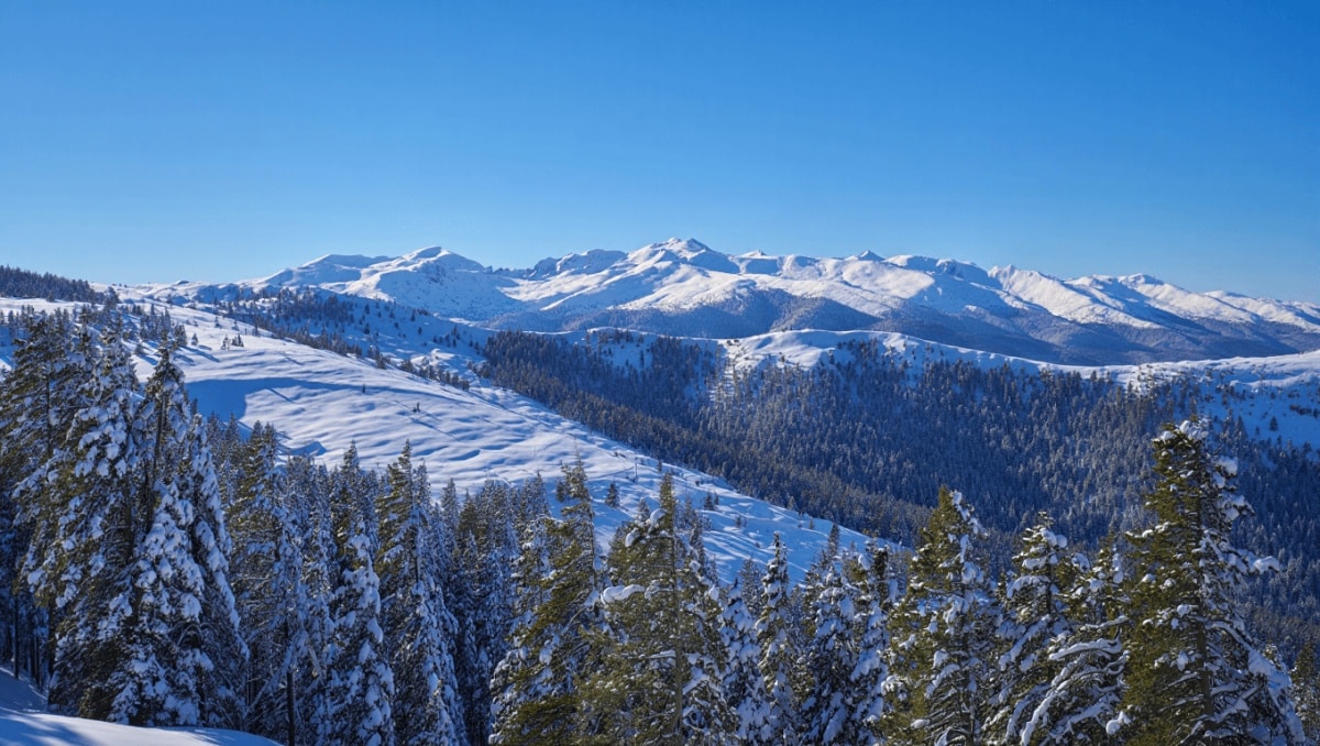 Cumbres y bosques nevados a tiro de piedra de Madrid