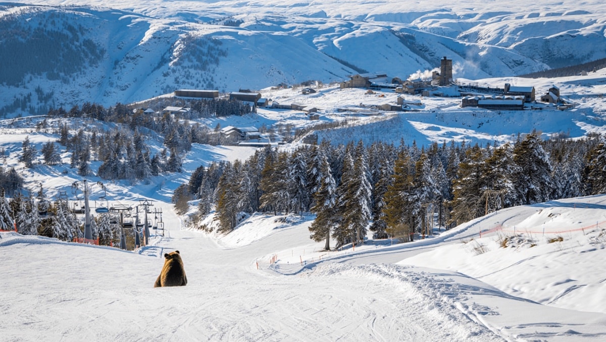 Esquí, osos pardos y vías verdes en el Valle de Laciana, un destino invernal fuera de ruta