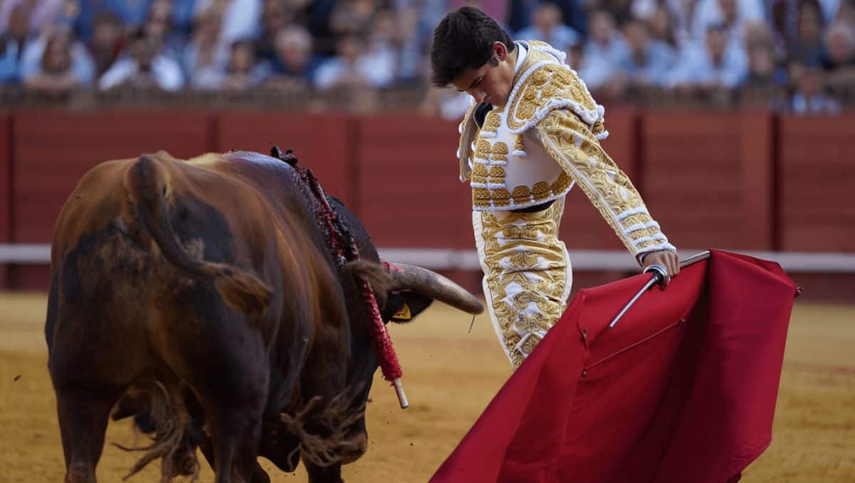 ¿A qué hora y dónde ver los toros?: la guía definitiva para un fin de semana intenso en la TV
