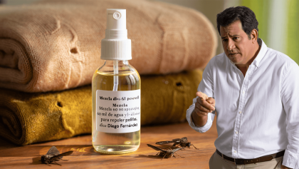 Diego Fernández, ingeniero químico: “Para repeler polillas, mezcla 60 ml de agua con 30 ml de alcohol”