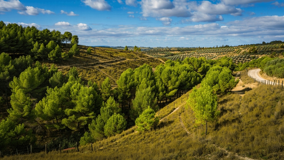 Andalucía duplica Despeñaperros y amplía protección natural en Jaén paisaje