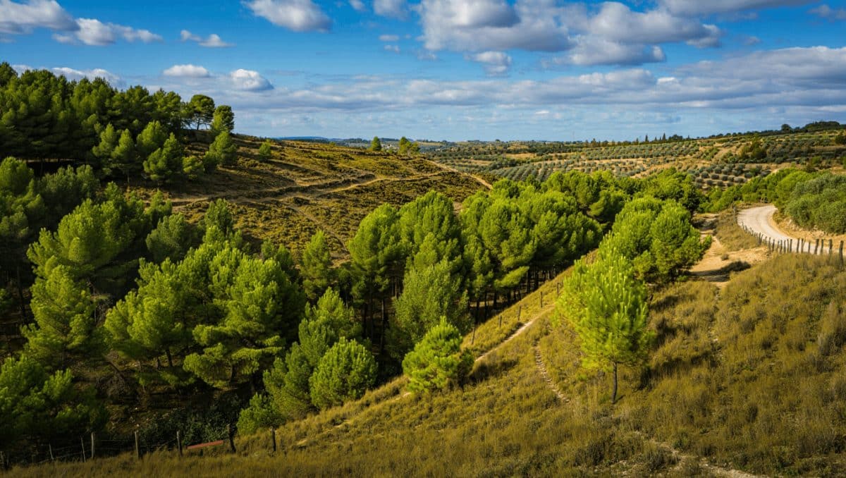 Andalucía duplica Despeñaperros y amplía protección natural en Jaén paisaje