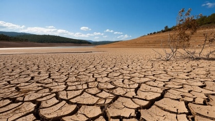 España pierde el 22% de sus lagunas temporales por el cambio climático y la agricultura