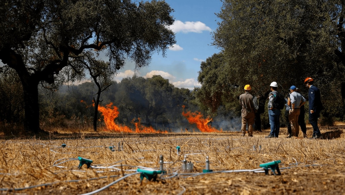 Proyecto SenForFire prueba sensores para detectar incendios forestales en Cáceres en laboratorio real