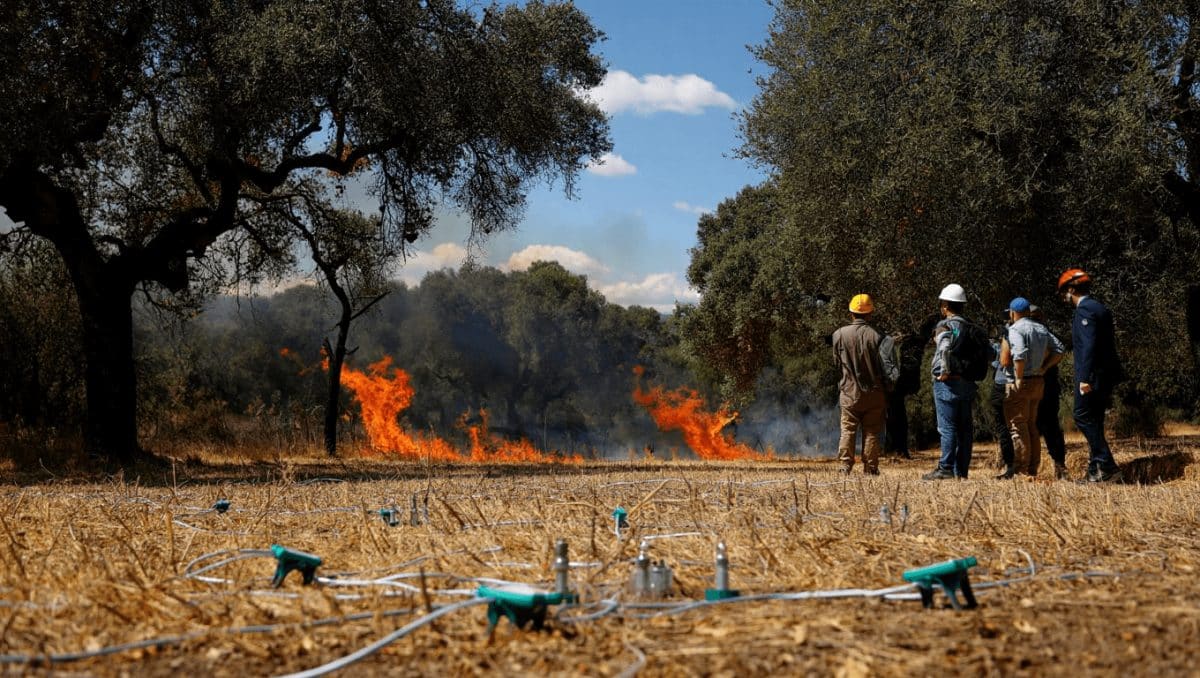 Proyecto SenForFire prueba sensores para detectar incendios forestales en Cáceres en laboratorio real