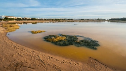 el estado del Mar Menor no mejora pese a la aparente estabilización según un estudio con inteligencia artificial vista aérea