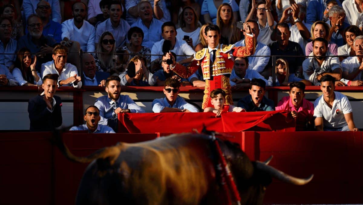 La televisión de Castilla-La Mancha repite su plan maestro para que veas gratis San Isidro