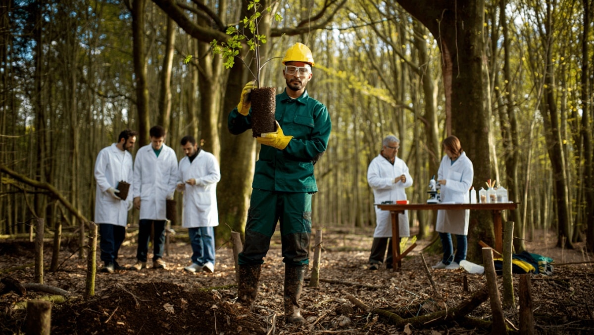 El Bierzo se convierte en laboratorio forestal para combatir plagas y el cambio climático