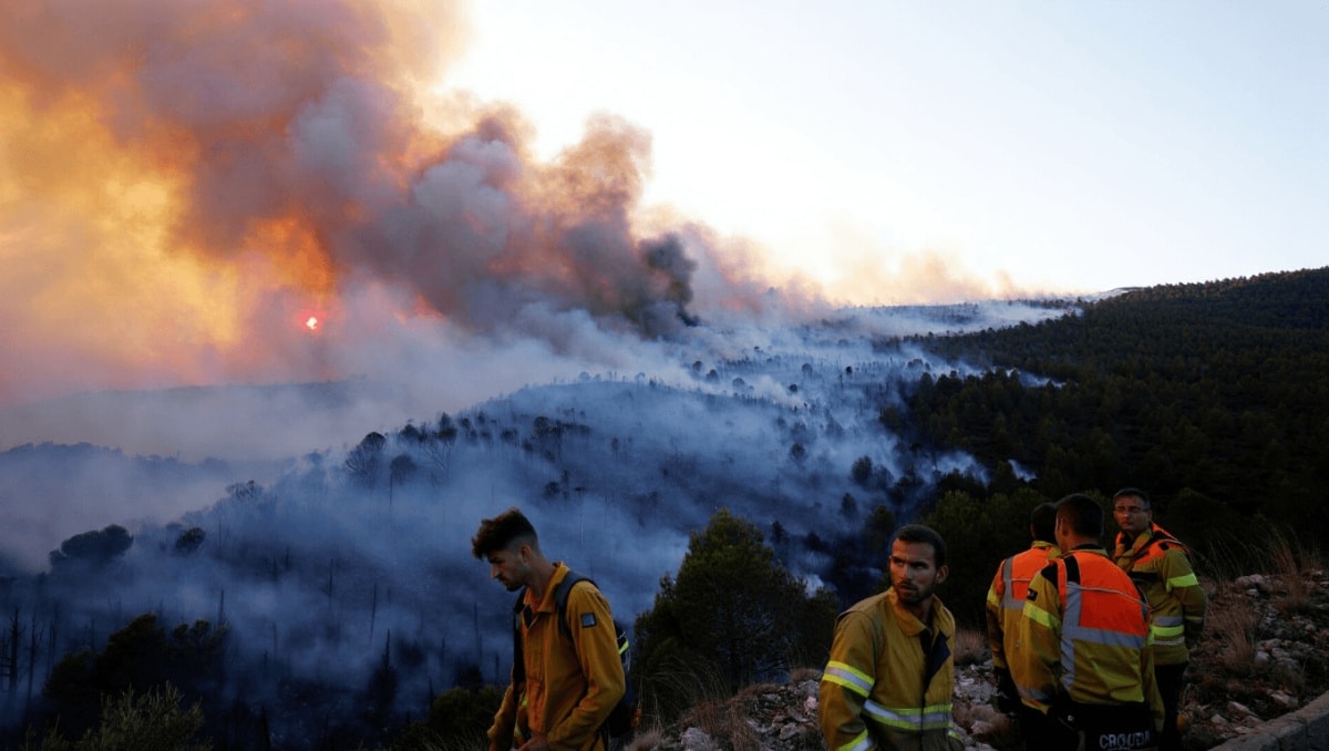 Bomberos forestales durante labores de prevención de incendios