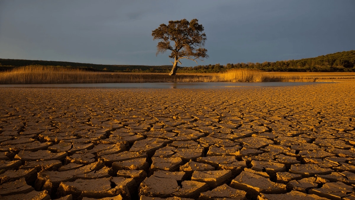 protección urgente para Doñana y restauración del río Guadiamar