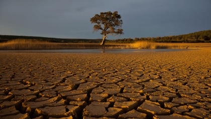 protección urgente para Doñana y restauración del río Guadiamar