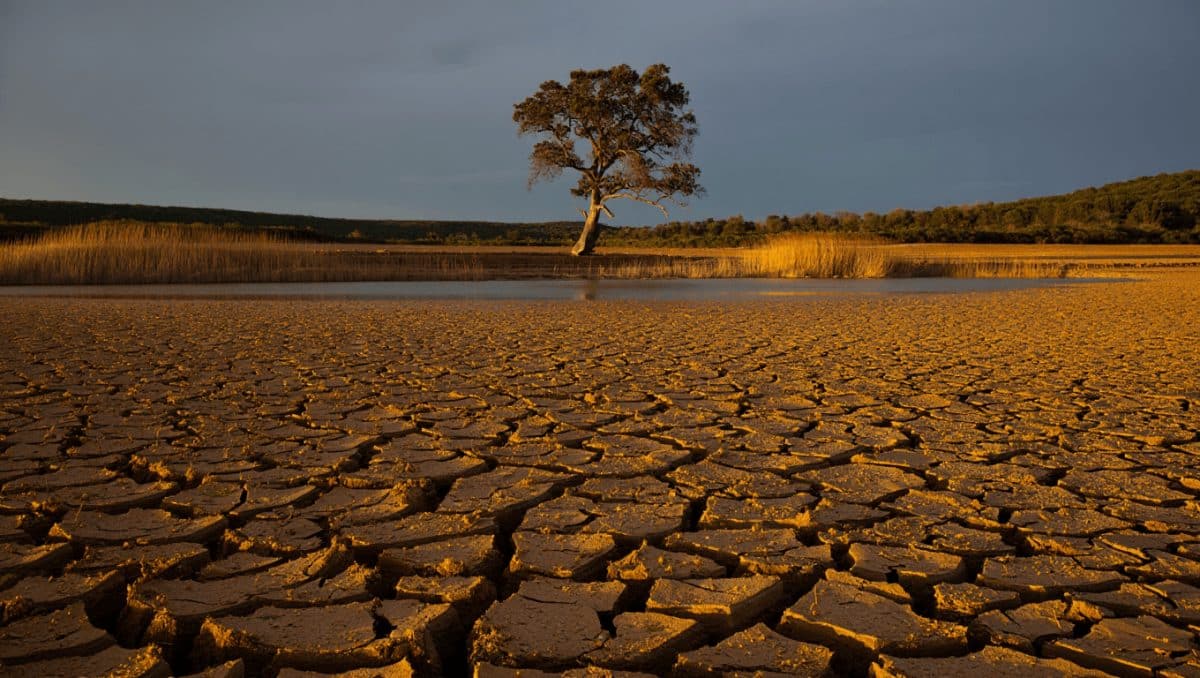 protección urgente para Doñana y restauración del río Guadiamar