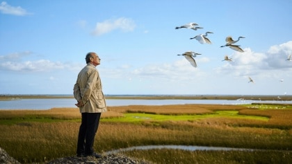 José Antonio Valverde fundador de Doñana y padre de la conservación científica en España archivo
