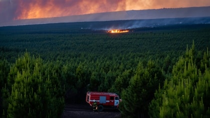 Incendios forestales y prevención ambiental en Tenerife