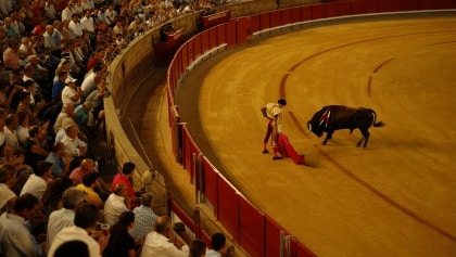 ¿A qué hora y dónde ver los toros?: La guía definitiva para el cierre de mayo en San Isidro y las ferias de Cáceres y Vera