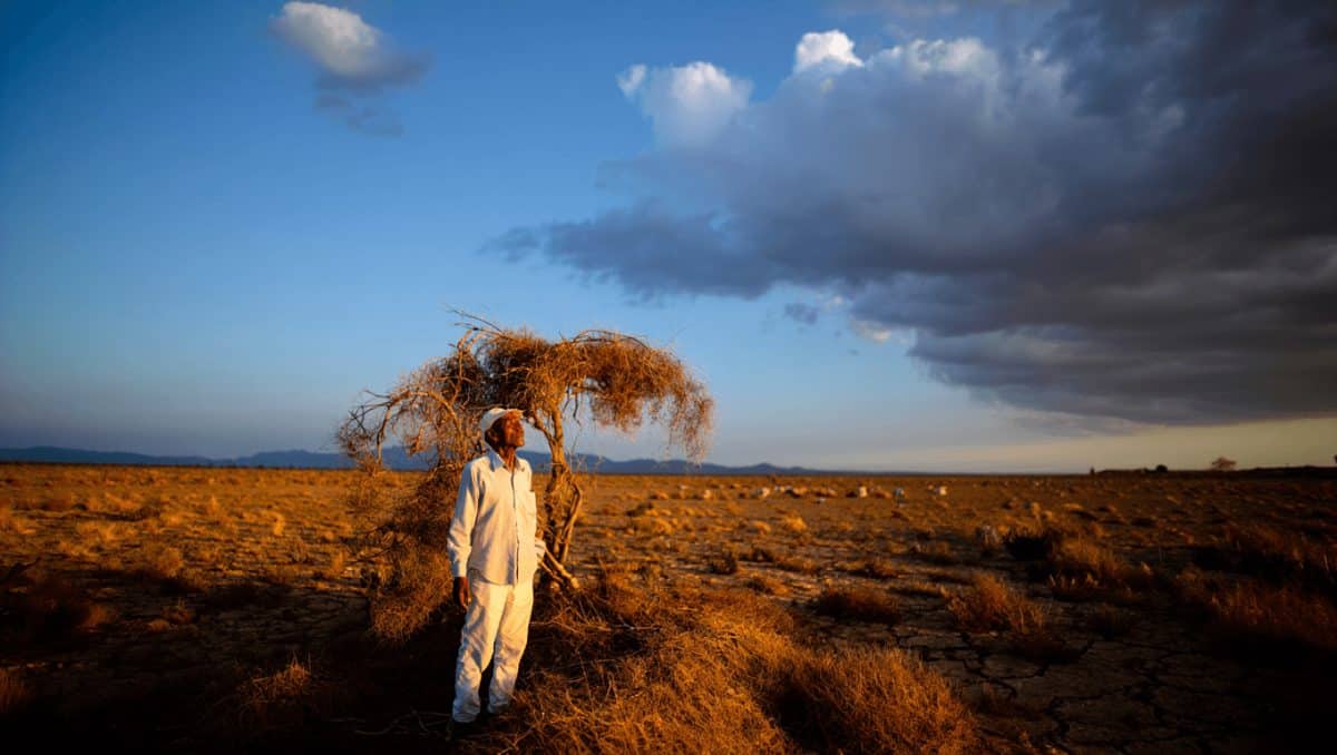 La AEMET revienta las previsiones y manda la alerta definitiva: 40ºC en estas zonas de España a partir de este día