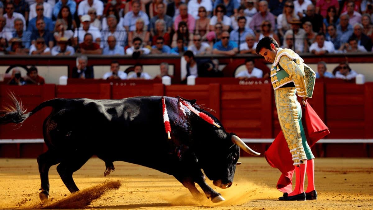 La tauromaquia popular asalta la pantalla: cinco citas en directo para el verano