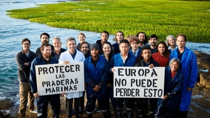 Las praderas marinas que Europa no puede permitirse perder