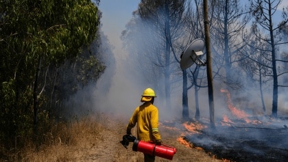 La inteligencia artificial contra incendios vigilará los bosques las 24 horas