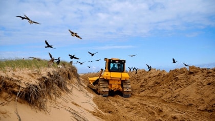 Las dunas protegidas de Galicia denuncian graves daños por maquinaria pesada