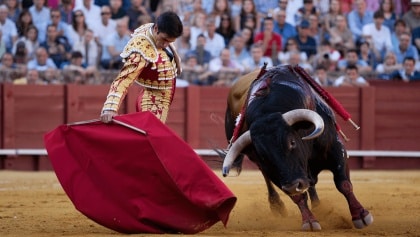 ¿A qué hora y dónde ver los toros?: La guía de la Feria de Hogueras de Alicante y la Copa Chenel en televisión