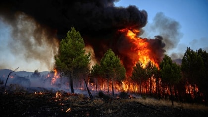 incendios forestales en España