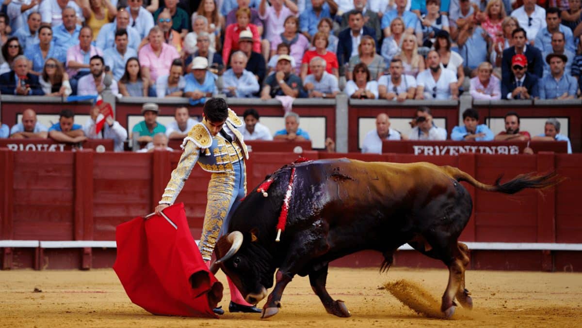 ¿A qué hora y dónde ver los toros?: La guía de la Feria de Santiago de Santander y los certámenes de novilladas en televisión