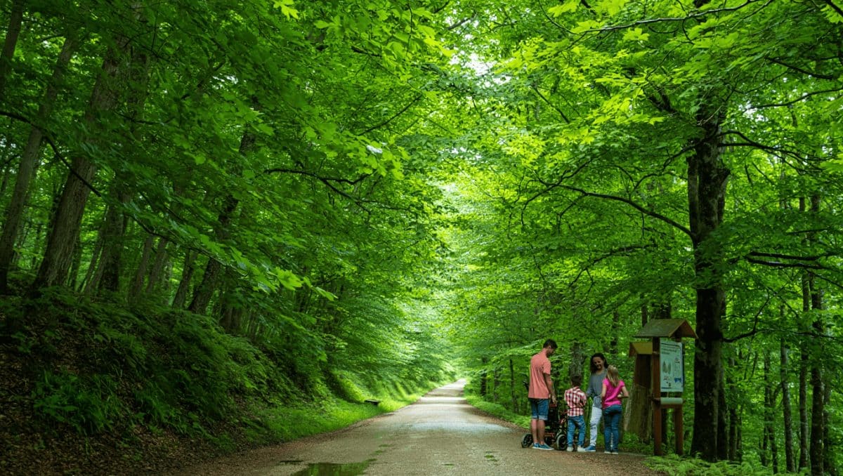Una vía verde totalmente accesible y sencilla en el corazón verde de Navarra para disfrutar del verano en Irati