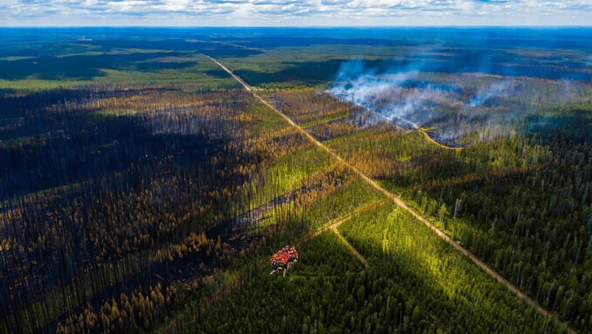 los incendios forestales ya pueden medirse con mucha más precisión desde el espacio mediante satélites