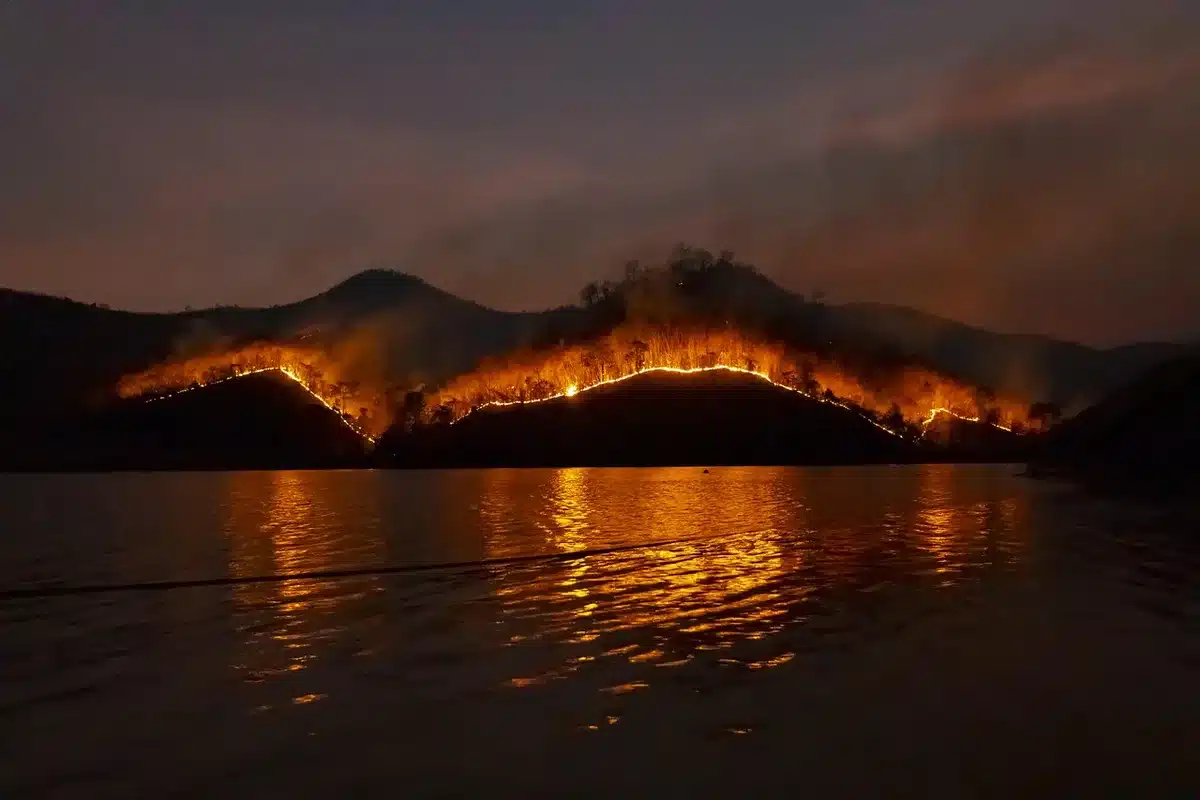 humareda de incendio forestal y vegetación seca