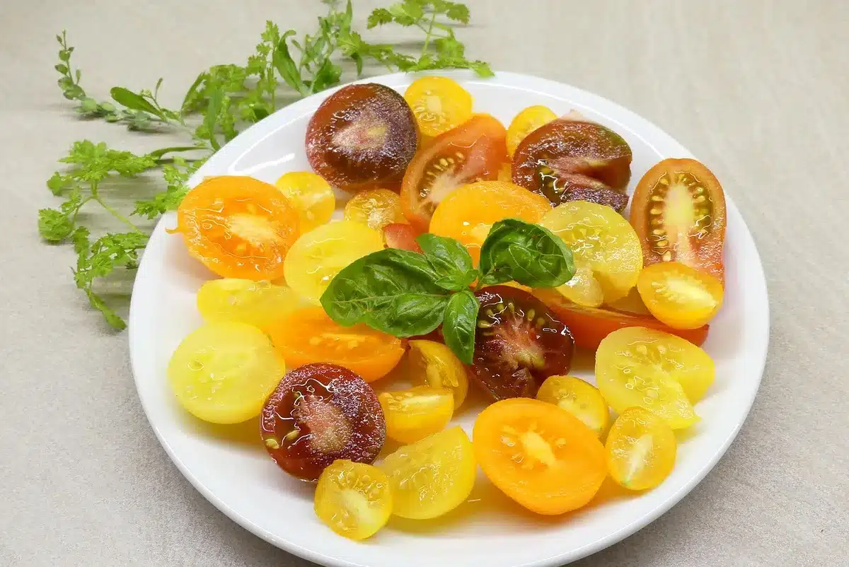 Tomates maduros y hojas de albahaca fresca listos para cocinar