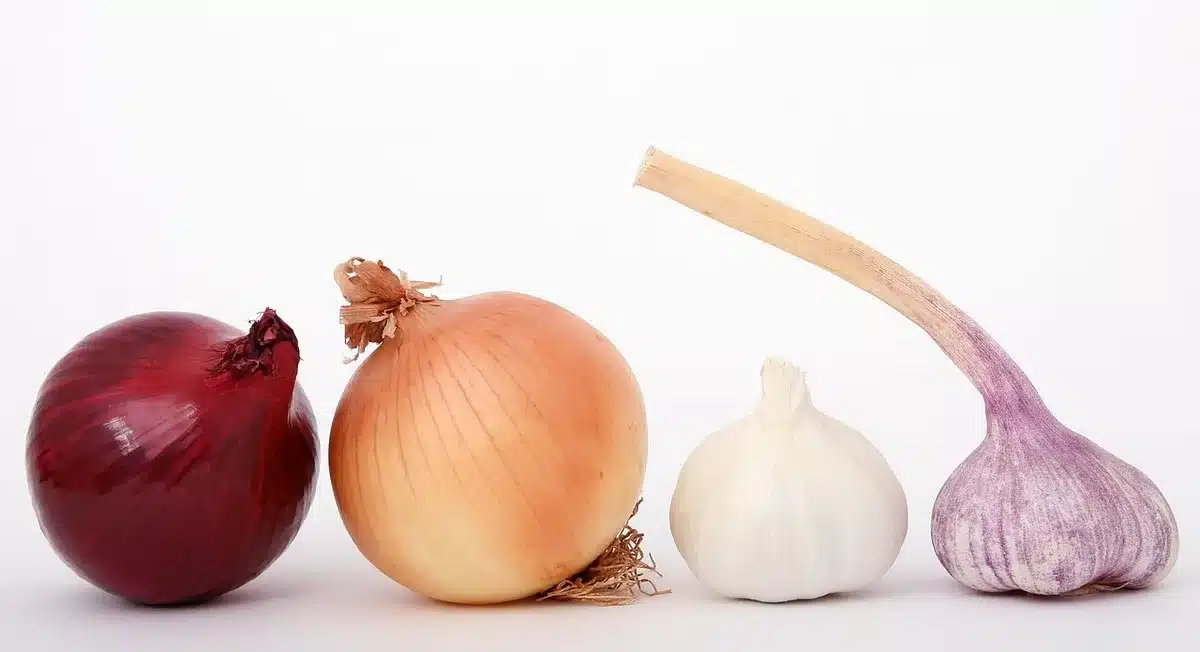 Manos anónimas preparando salmón marinado en una mesa de cocina con hierbas