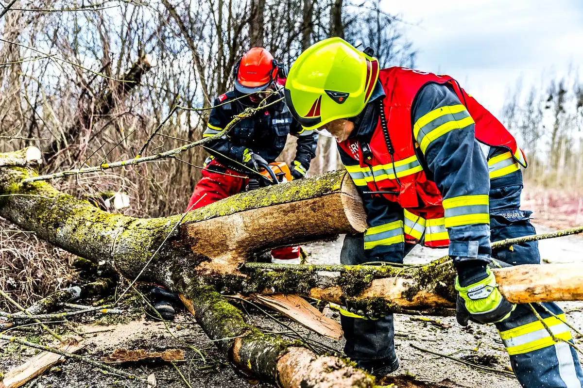 Daños por tormenta en infraestructuras y cultivos afectados por lluvia e inundación