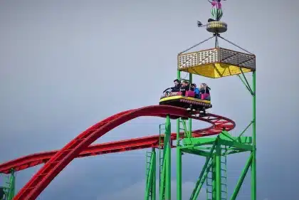 Parque temático con pasarelas elevadas entre árboles y estructura de montaña rusa de fondo