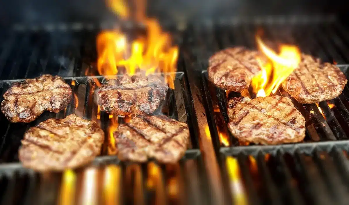 Detalle de fibras y vetas de colágeno en la carne cruda