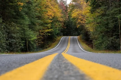 Carretera rural con pinos quemados y charcos tras la lluvia